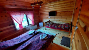Log cabin 1 Merdovic